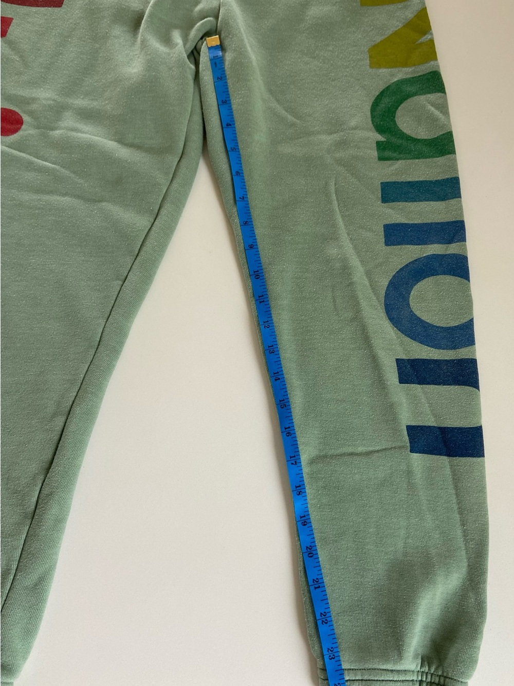 AVIATOR NATION SET Hoodie (Small) + Logo Sweats (XS) in Sage Green 🌈 - Picture 15 of 17